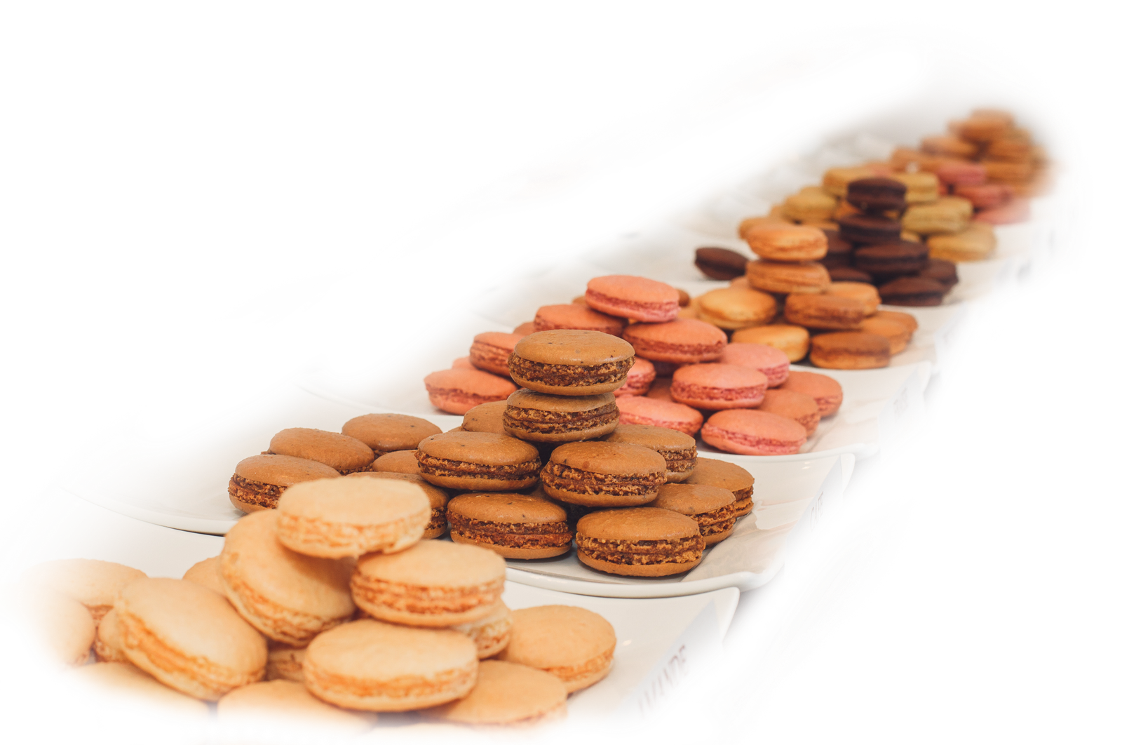 Assortiment de macarons aux saveurs uniques, créations artisanales de pâtisserie française à Annecy