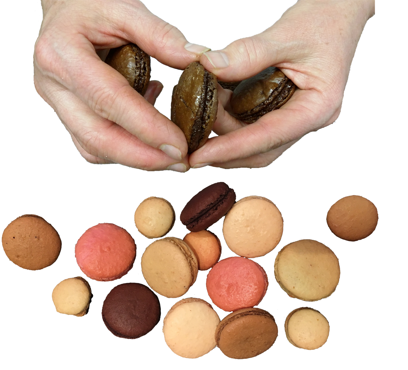 Main tenant délicatement des macarons à Annecy, une invitation visuelle à savourer la douceur de nos créations artisanales.